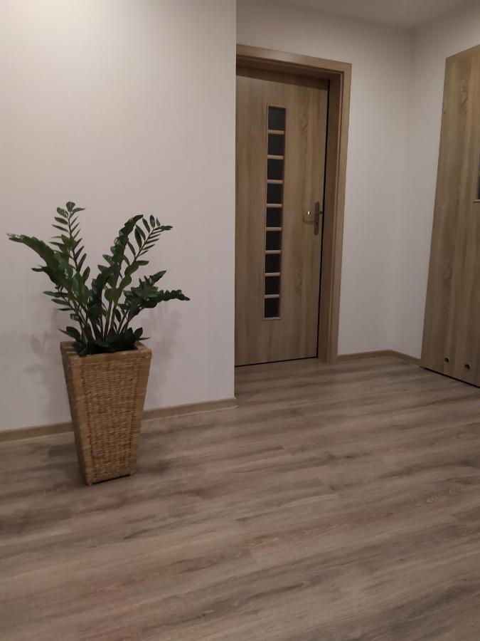 Apartament Kaola 옐레니아구라 외부 사진
